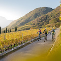 In Alto Adige l’autunno si scopre in bicicletta: vino, musica e tradizioni