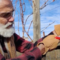 VINE MASTER PRUNERS Academy by SIMONIT & SIRCH