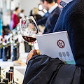 Vino Nobile di Montepulciano: ecco come si diventa la prima denominazione d’Italia certificata “equalitas” per la sostenibilità