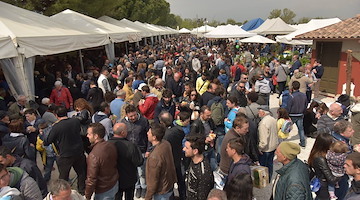I numeri della 55a edizione di Agriumbria. Il mondo agricolo italiano si ritrova a Bastia Umbra