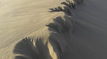 Puglia, abrogata la legge regionale che affidava le dune costiere ai privati