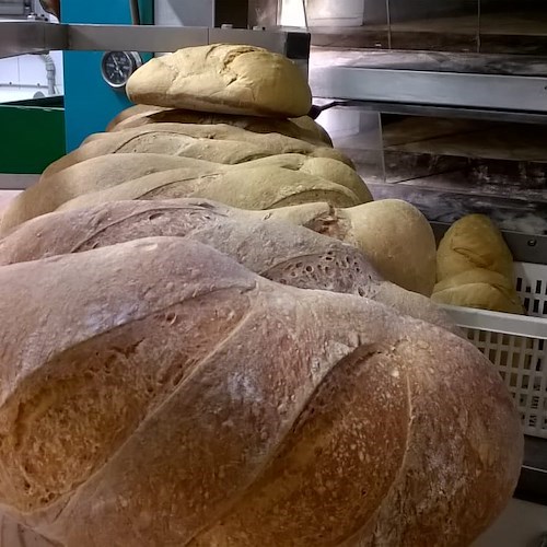 Pane<br />&copy; Proloco Buccino Volcei APS