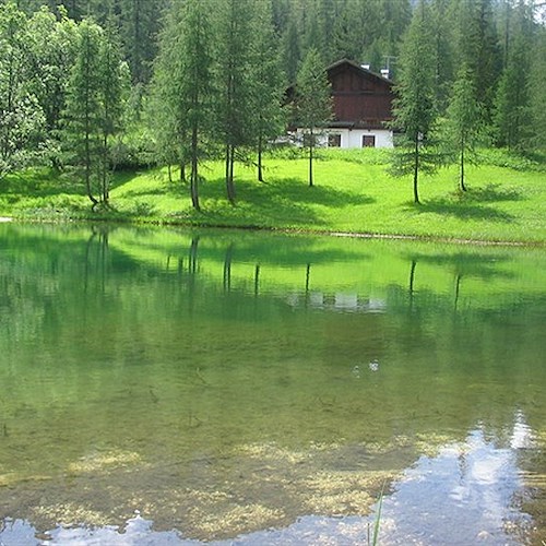 San Pietro di Cadore<br />&copy; Pagina Facebook