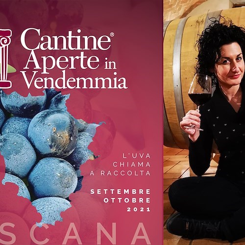 Vendemmia: cantine aperte in tutta la Toscana per assistere al rito magico